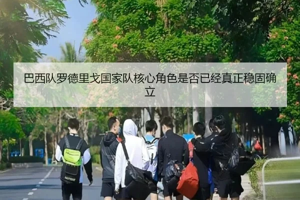 巴西队罗德里戈国家队核心角色是否已经真正稳固确立